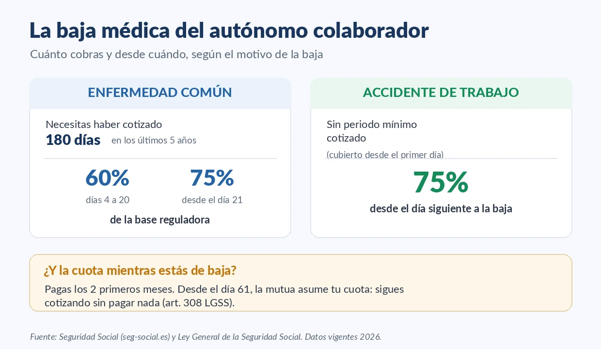 Infografía con los porcentajes y plazos de la baja médica del autónomo colaborador: 60% y 75% por enfermedad común y 75% por accidente de trabajo