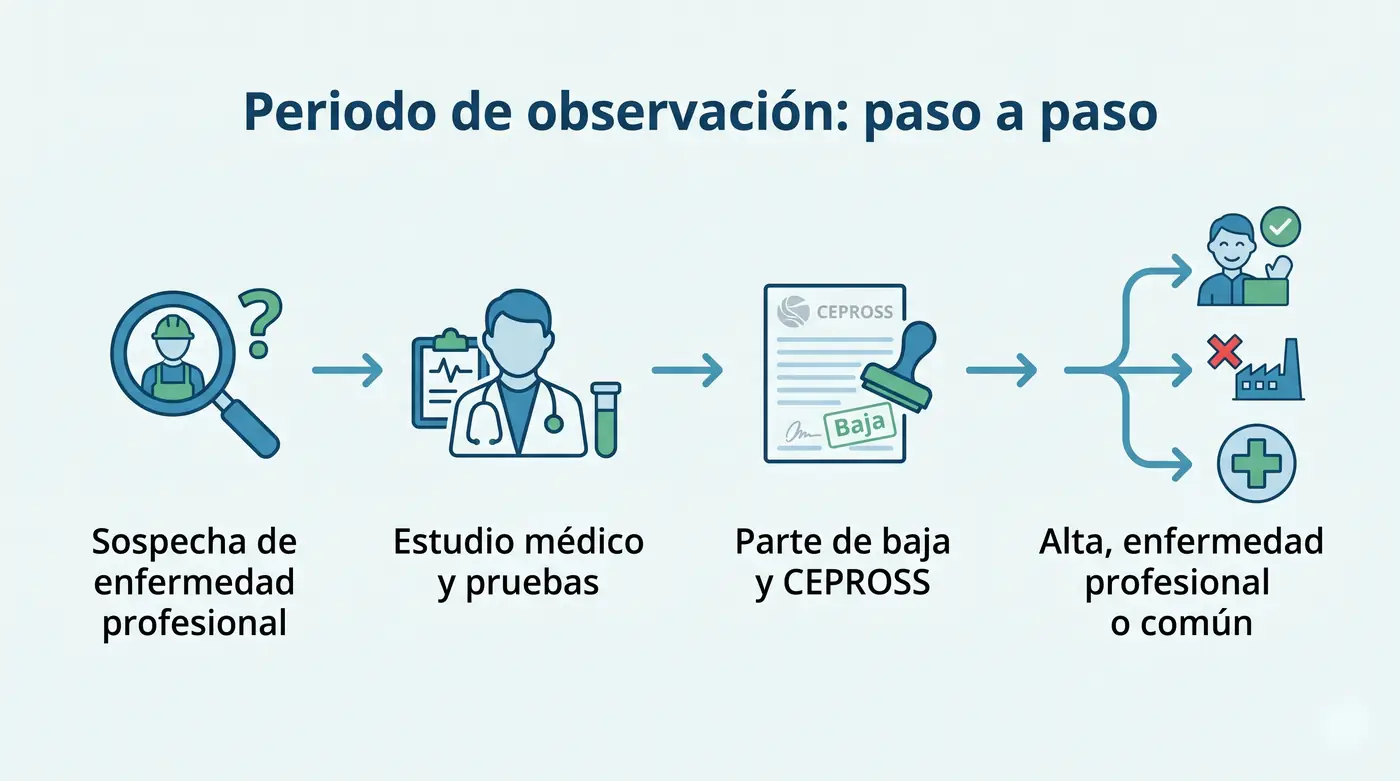 Infografía con los pasos del periodo de observación de una enfermedad profesional