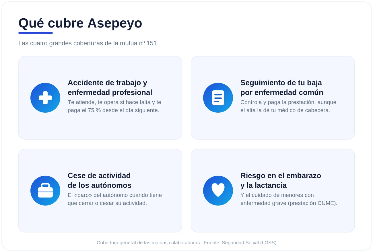 Infografía de las coberturas de Asepeyo: accidente de trabajo y enfermedad profesional, seguimiento de la baja por enfermedad común, cese de actividad de autónomos y riesgo durante el embarazo y la lactancia