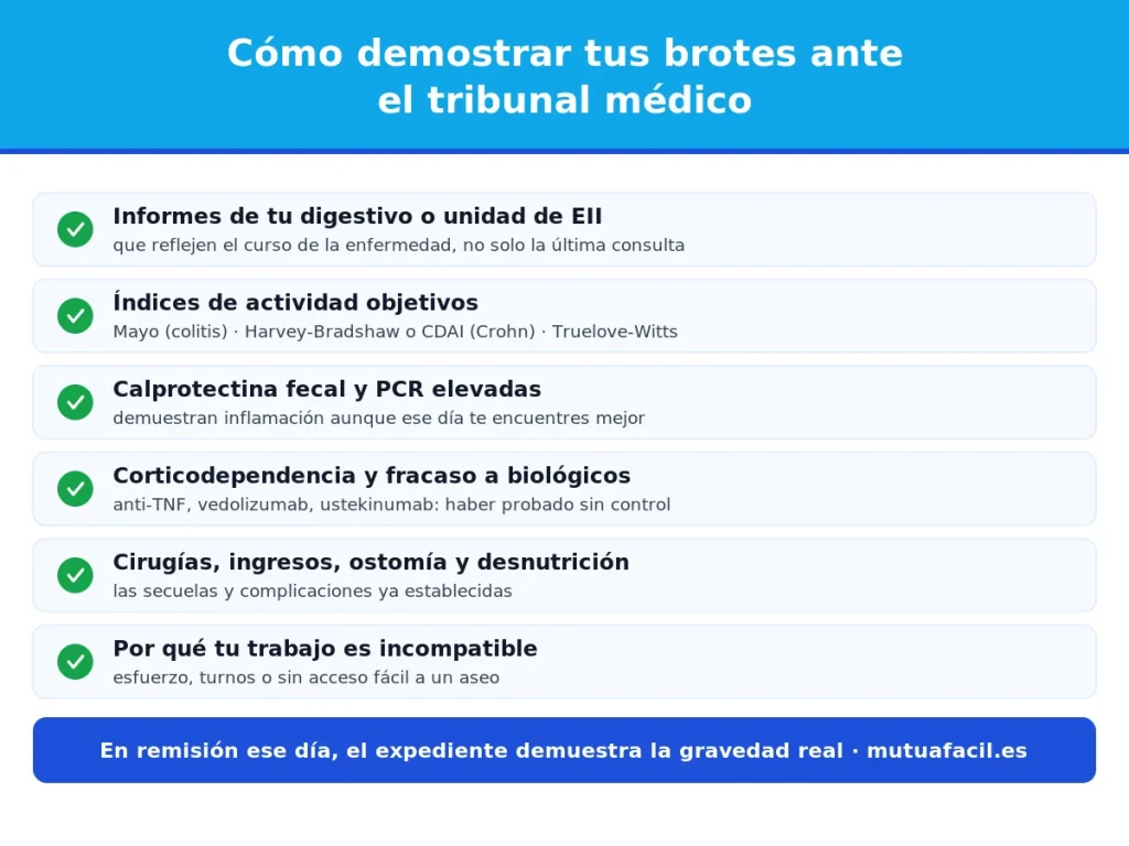 Infografía sobre cómo documentar los brotes de Crohn y colitis ulcerosa ante el tribunal médico: índices de Mayo y Harvey-Bradshaw, calprotectina, corticodependencia y secuelas