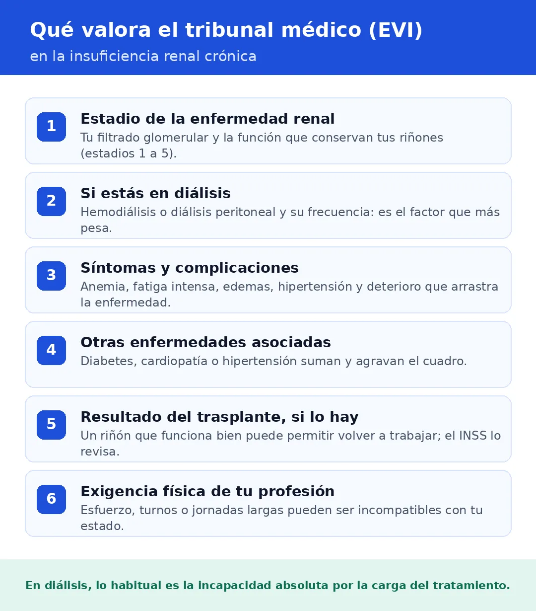 Infografía: qué valora el tribunal médico (EVI) en la insuficiencia renal crónica — estadio de la enfermedad renal, si estás en diálisis, síntomas y complicaciones, enfermedades asociadas, resultado del trasplante y exigencia física de la profesión