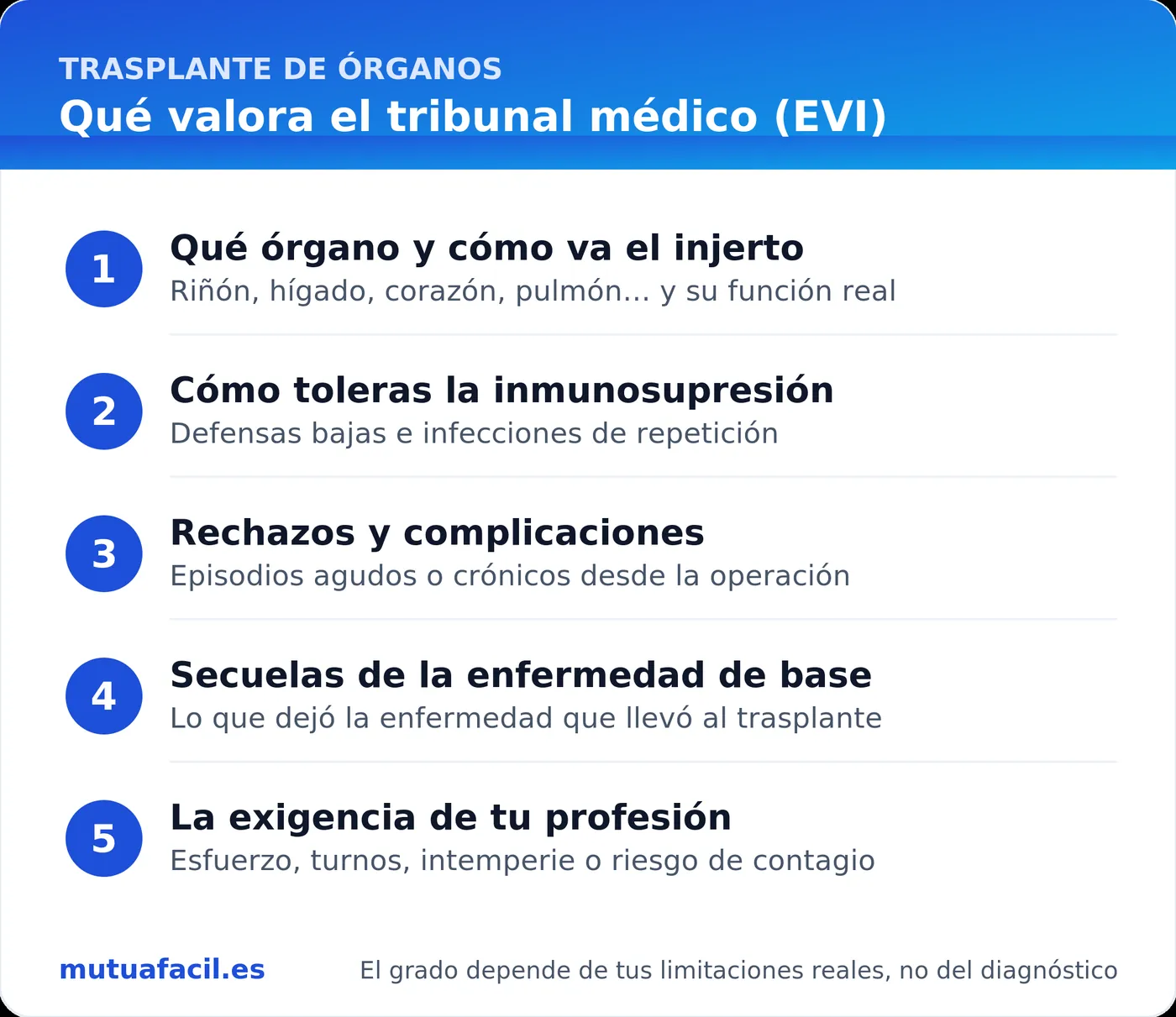 Infografía: qué valora el tribunal médico (EVI) tras un trasplante — qué órgano y estado del injerto, tolerancia a la inmunosupresión, rechazos y complicaciones, secuelas de la enfermedad de base y exigencia física de la profesión