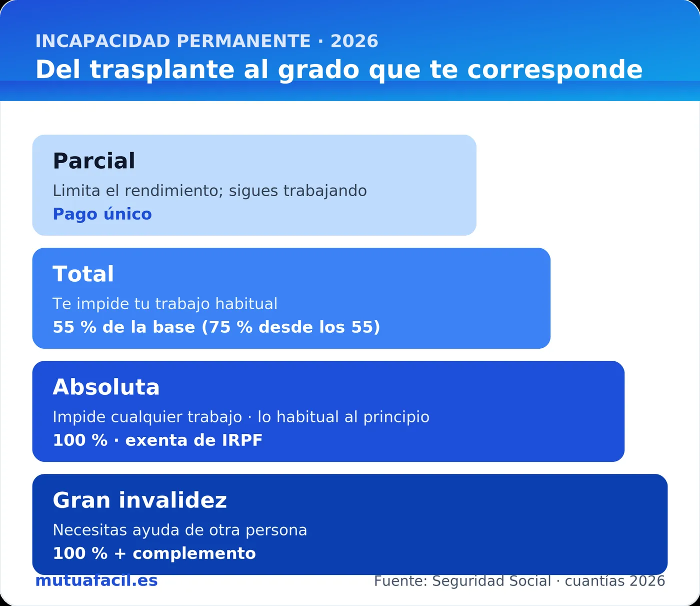 Infografía: del trasplante al grado de incapacidad permanente — parcial (pago único), total (55 %), absoluta (100 % exenta de IRPF, habitual el primer periodo) y gran invalidez (100 % más complemento), cuantías 2026